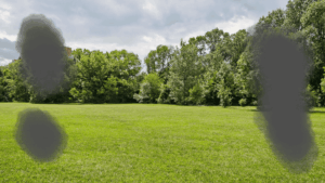 Weite grüne Wiese mit dahinterstehenden Bäumen unter einem bewölkten Himmel. Mehrere schwarze, wolkenartige Schatten überlagern das Bild: links oben, links unten, rechts oben und rechts unten. Die Bildmitte bleibt frei.